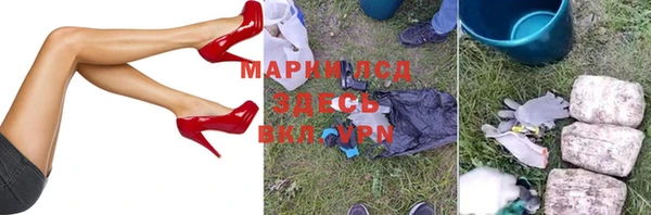 ГАЛЛЮЦИНОГЕННЫЕ ГРИБЫ Козловка