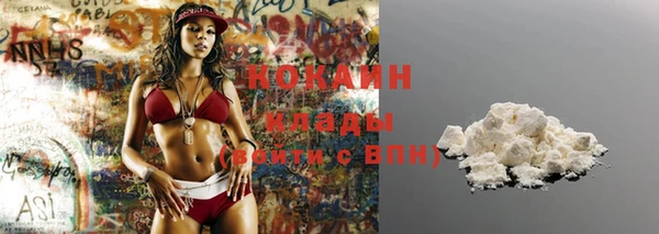 ГАЛЛЮЦИНОГЕННЫЕ ГРИБЫ Козловка